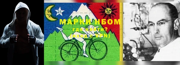 тгк Дмитров