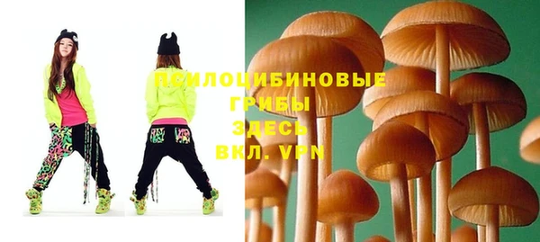 каннабис Елизово
