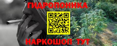 сатива Кумертау