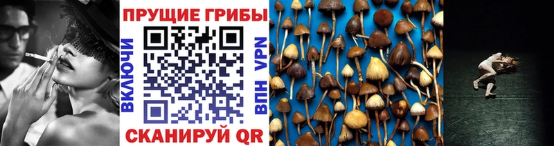 Галлюциногенные грибы прущие грибы  OMG ссылки  Чебаркуль 