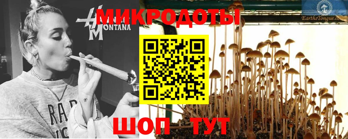 Галлюциногенные грибы Cubensis Чебаркуль
